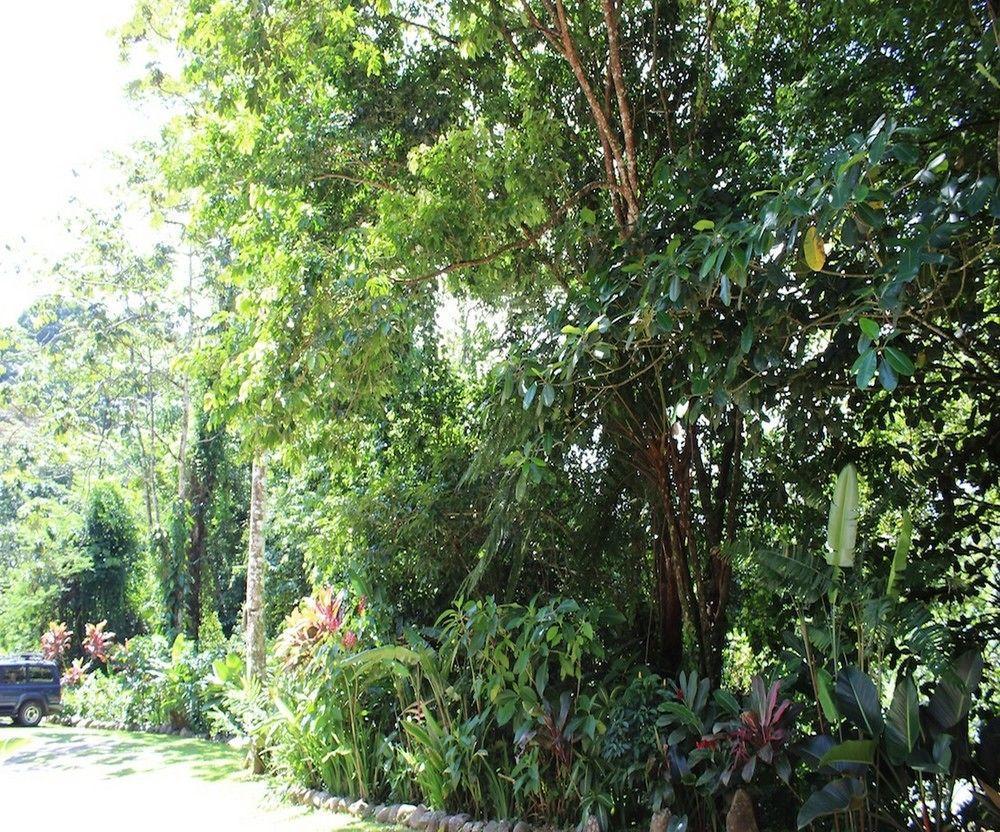 Agua Inn Nuevo Arenal Exterior foto