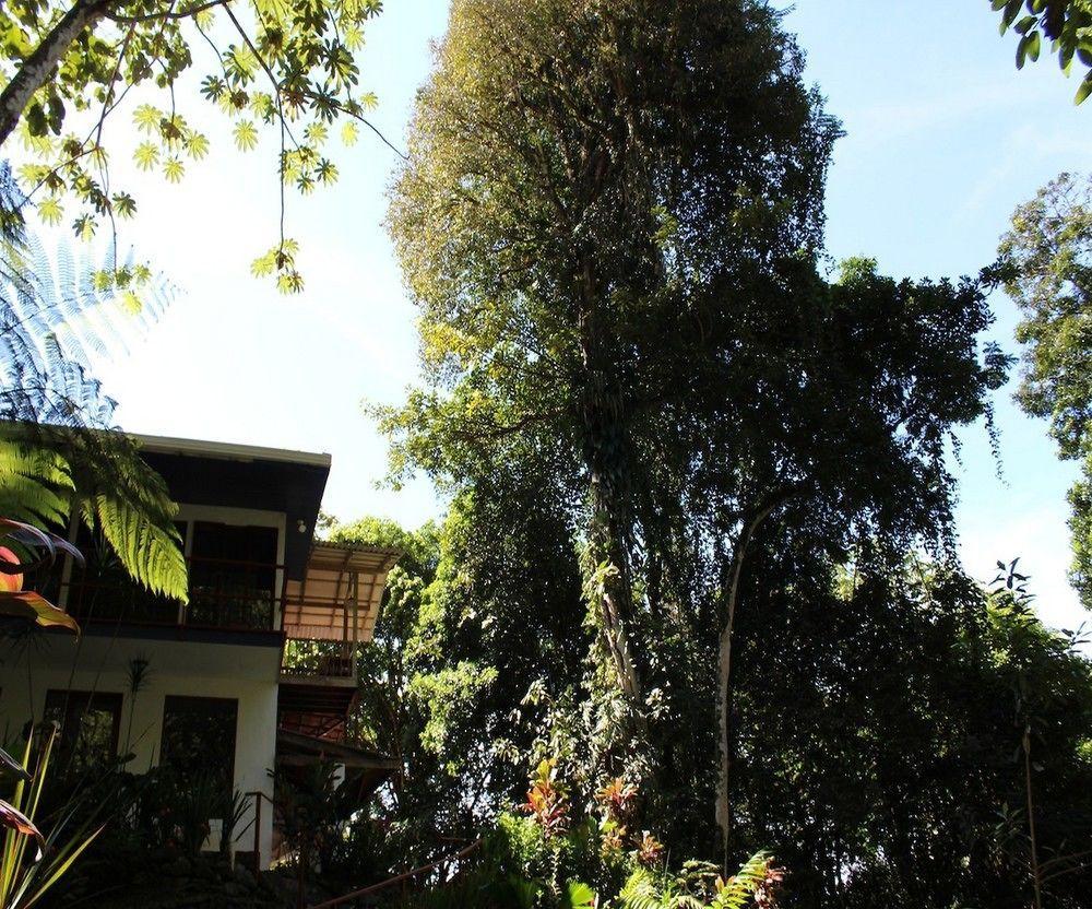 Agua Inn Nuevo Arenal Exterior foto