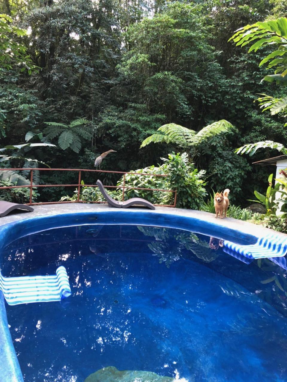 Agua Inn Nuevo Arenal Exterior foto